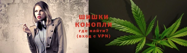 прущие грибы Балахна
