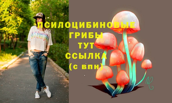 spice Баксан