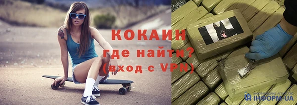 прущие грибы Балахна