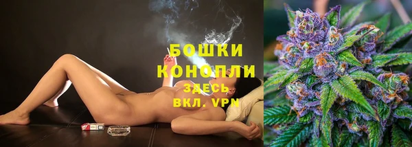 прущие грибы Балахна