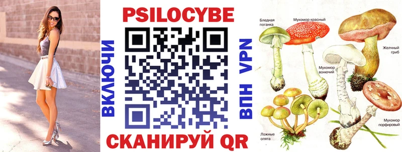 Галлюциногенные грибы Cubensis  Трубчевск 